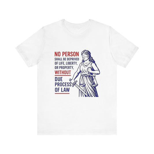 Due Process, Justice Quote Unisex Tee, Constitutional Rights Shirt, Law Enthusiast Gift, Statement Tee, Political Apparel, Everyday Wear