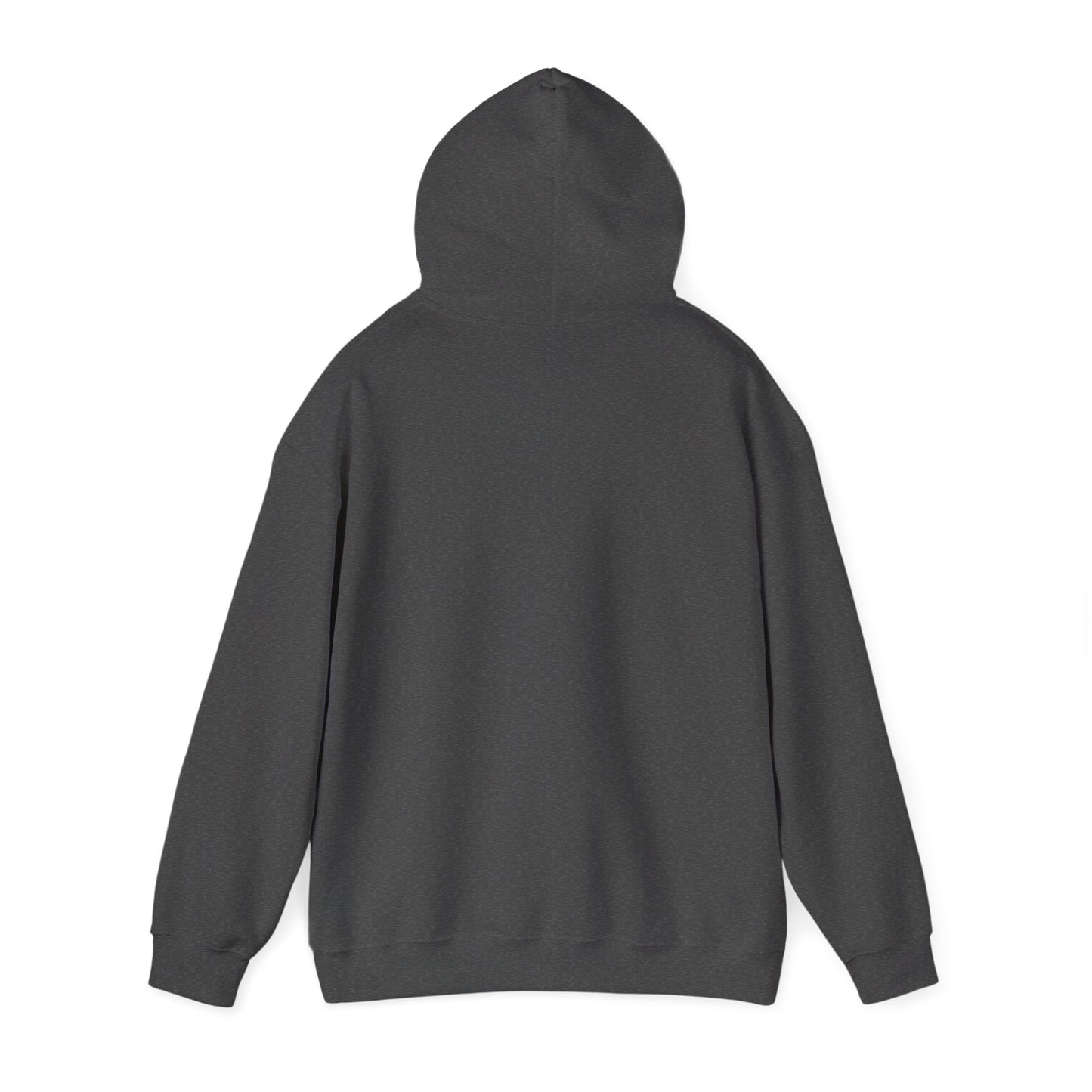Ratify This v2 Hoodie