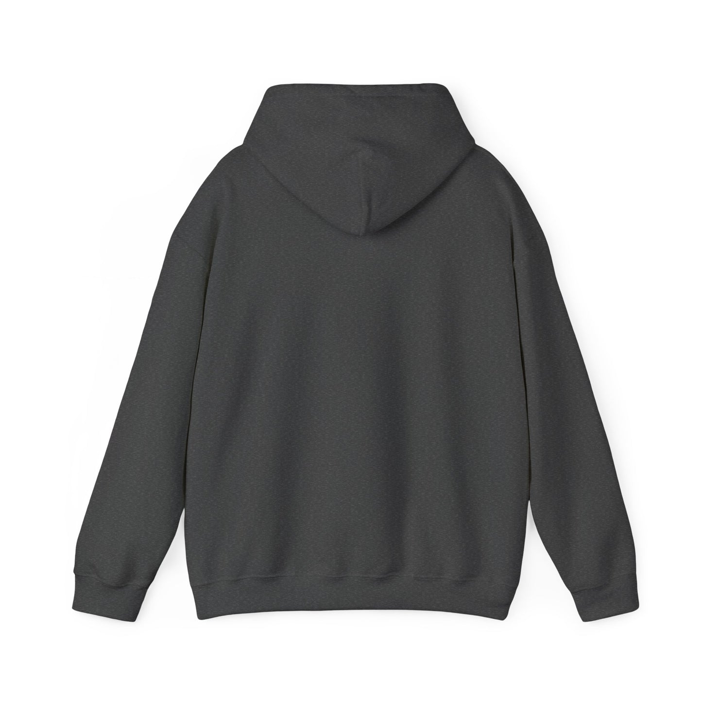 Ratify This v2 Hoodie
