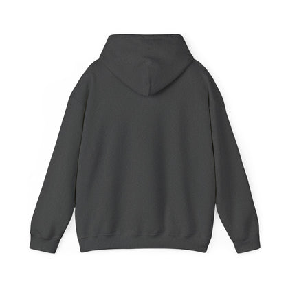 Ratify This v2 Hoodie
