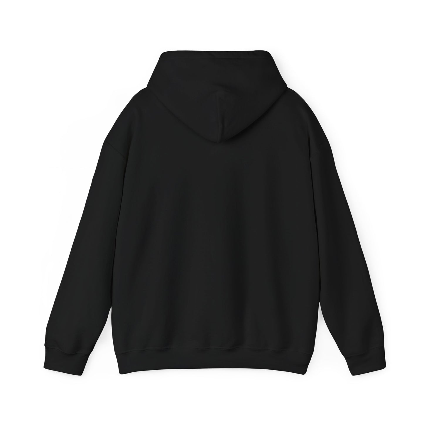 Ratify This v2 Hoodie